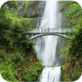 oregon